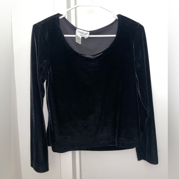 Vintage Velvet top - Picture 1 of 1